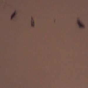 Meet your Posher, Lacy